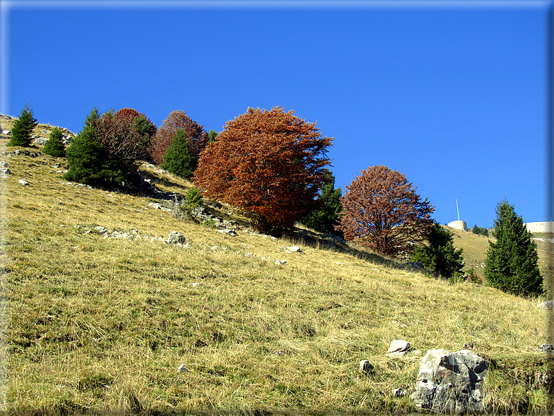 foto Mulatiera del Covolo